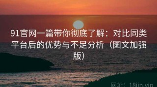 91官网一篇带你彻底了解：对比同类平台后的优势与不足分析（图文加强版）