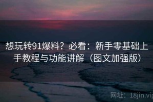 想玩转91爆料？必看：新手零基础上手教程与功能讲解（图文加强版）