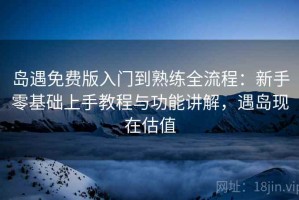 岛遇免费版入门到熟练全流程：新手零基础上手教程与功能讲解，遇岛现在估值
