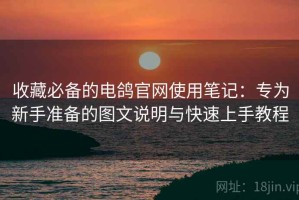 收藏必备的电鸽官网使用笔记：专为新手准备的图文说明与快速上手教程