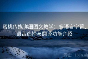 蜜桃传媒详细图文教学：多语言字幕、语音选择与翻译功能介绍