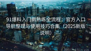 91爆料入门到熟练全流程：官方入口导航整理与使用技巧合集（2025新版说明）