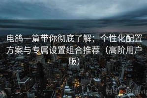 电鸽一篇带你彻底了解：个性化配置方案与专属设置组合推荐（高阶用户版）