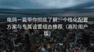 电鸽一篇带你彻底了解：个性化配置方案与专属设置组合推荐（高阶用户版）