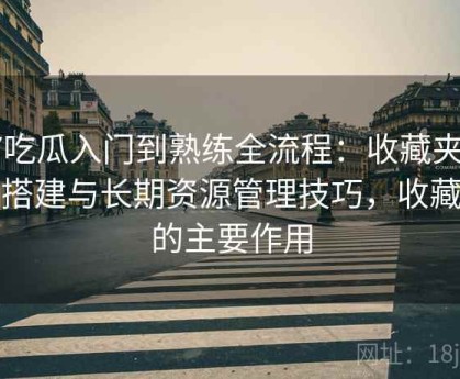 17吃瓜入门到熟练全流程：收藏夹结构搭建与长期资源管理技巧，收藏夹的主要作用