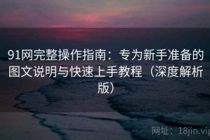 91网完整操作指南：专为新手准备的图文说明与快速上手教程（深度解析版）