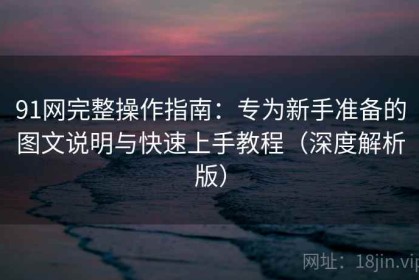 91网完整操作指南：专为新手准备的图文说明与快速上手教程（深度解析版）