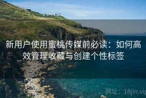 新用户使用蜜桃传媒前必读：如何高效管理收藏与创建个性标签