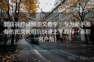 蘑菇视频详细图文教学：专为新手准备的图文说明与快速上手教程（高阶用户版）