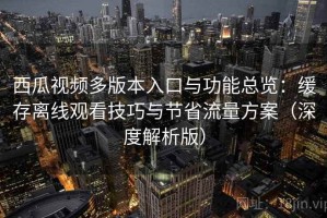 西瓜视频多版本入口与功能总览：缓存离线观看技巧与节省流量方案（深度解析版）