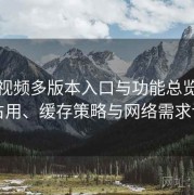 爱液视频多版本入口与功能总览：数据占用、缓存策略与网络需求说明