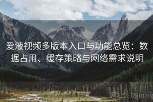 爱液视频多版本入口与功能总览：数据占用、缓存策略与网络需求说明