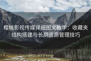 樱桃影视传媒详细图文教学：收藏夹结构搭建与长期资源管理技巧