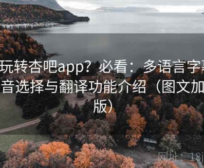 想玩转杏吧app？必看：多语言字幕、语音选择与翻译功能介绍（图文加强版）