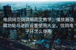 电鸽网页版详细图文教学：播放器隐藏功能与进阶设置使用大全，信鸽电子环怎么使用