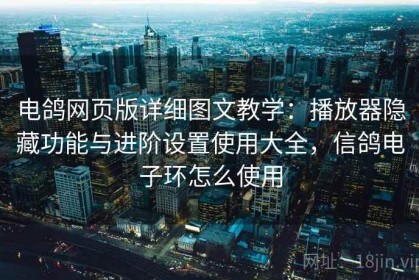 电鸽网页版详细图文教学：播放器隐藏功能与进阶设置使用大全，信鸽电子环怎么使用