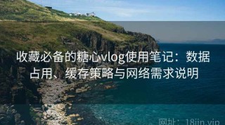 收藏必备的糖心vlog使用笔记：数据占用、缓存策略与网络需求说明