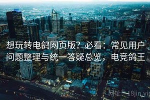 想玩转电鸽网页版？必看：常见用户问题整理与统一答疑总览，电竞鸽王