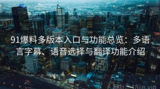 91爆料多版本入口与功能总览：多语言字幕、语音选择与翻译功能介绍