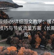 蘑菇视频ios详细图文教学：缓存离线观看技巧与节省流量方案（长期整理版）