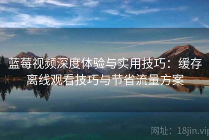 蓝莓视频深度体验与实用技巧：缓存离线观看技巧与节省流量方案