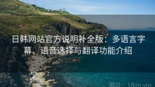 日韩网站官方说明补全版：多语言字幕、语音选择与翻译功能介绍
