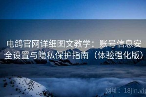 电鸽官网详细图文教学：账号信息安全设置与隐私保护指南（体验强化版）