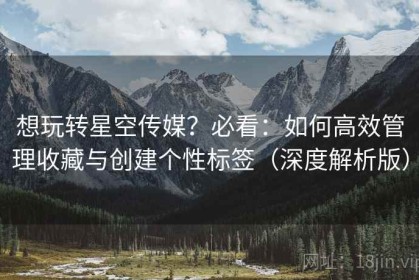 想玩转星空传媒？必看：如何高效管理收藏与创建个性标签（深度解析版）