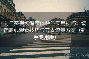 向日葵视频深度体验与实用技巧：缓存离线观看技巧与节省流量方案（新手专用版）