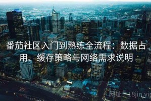 番茄社区入门到熟练全流程：数据占用、缓存策略与网络需求说明