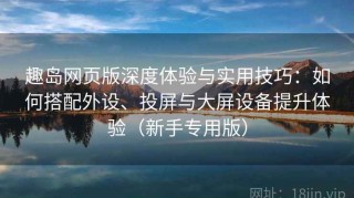 趣岛网页版深度体验与实用技巧：如何搭配外设、投屏与大屏设备提升体验（新手专用版）