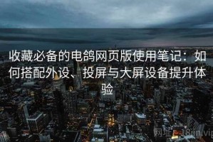 收藏必备的电鸽网页版使用笔记：如何搭配外设、投屏与大屏设备提升体验
