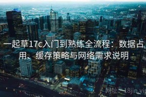 一起草17c入门到熟练全流程：数据占用、缓存策略与网络需求说明