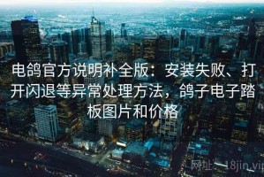 电鸽官方说明补全版：安装失败、打开闪退等异常处理方法，鸽子电子踏板图片和价格