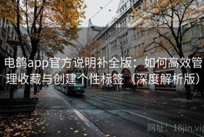 电鸽app官方说明补全版：如何高效管理收藏与创建个性标签（深度解析版）
