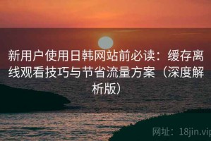 新用户使用日韩网站前必读：缓存离线观看技巧与节省流量方案（深度解析版）