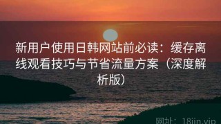 新用户使用日韩网站前必读：缓存离线观看技巧与节省流量方案（深度解析版）