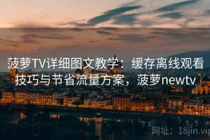 菠萝TV详细图文教学：缓存离线观看技巧与节省流量方案，菠萝newtv