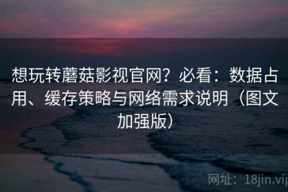 想玩转蘑菇影视官网？必看：数据占用、缓存策略与网络需求说明（图文加强版）