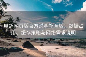 电鸽网页版官方说明补全版：数据占用、缓存策略与网络需求说明