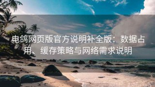 电鸽网页版官方说明补全版：数据占用、缓存策略与网络需求说明