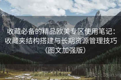 收藏必备的精品欧美专区使用笔记：收藏夹结构搭建与长期资源管理技巧（图文加强版）