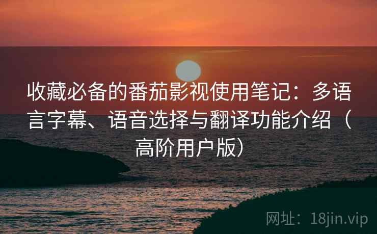 收藏必备的番茄影视使用笔记:多语言字幕、语音选择与翻译功能介绍(高阶用户版) 收藏必备的番茄影视使用笔记:多语言字幕、语音选择与翻译功能介绍(高阶用户版)