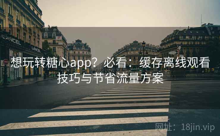 想玩转糖心app？必看：缓存离线观看技巧与节省流量方案