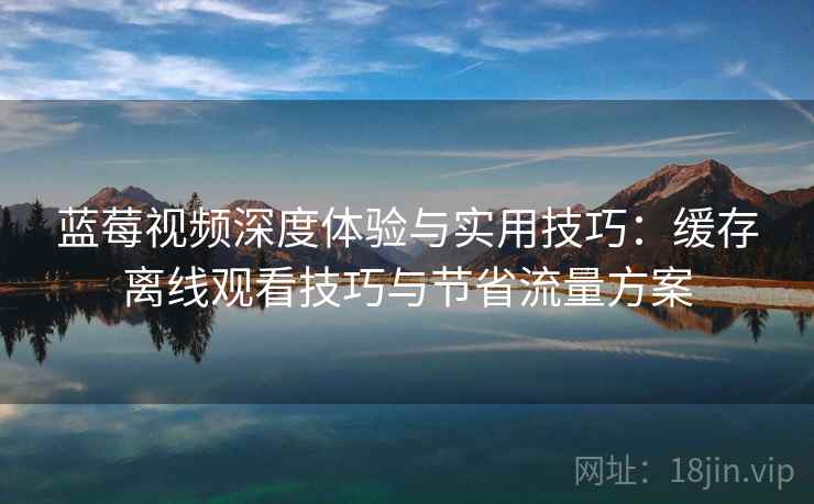 蓝莓视频深度体验与实用技巧:缓存离线观看技巧与节省流量方案 蓝莓视频深度体验与实用技巧:缓存离线观看技巧与节省流量方案
