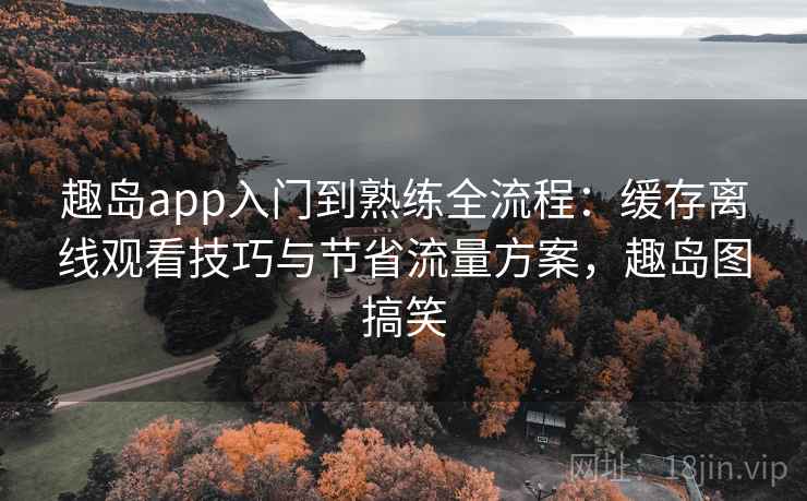 趣岛app入门到熟练全流程：缓存离线观看技巧与节省流量方案，趣岛图搞笑