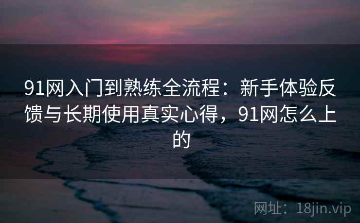 91网入门到熟练全流程：新手体验反馈与长期使用真实心得，91网怎么上的