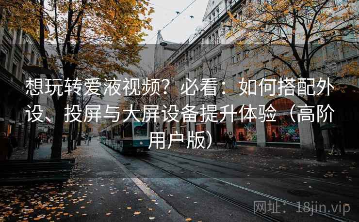 想玩转爱液视频？必看：如何搭配外设、投屏与大屏设备提升体验（高阶用户版）
