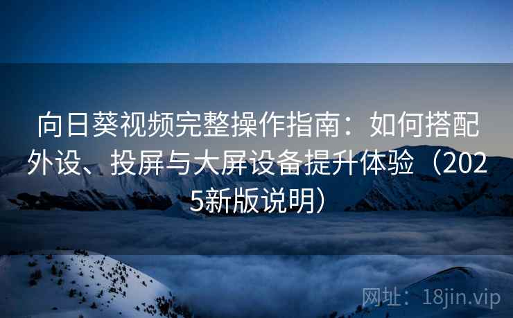 向日葵视频完整操作指南：如何搭配外设、投屏与大屏设备提升体验（2025新版说明）