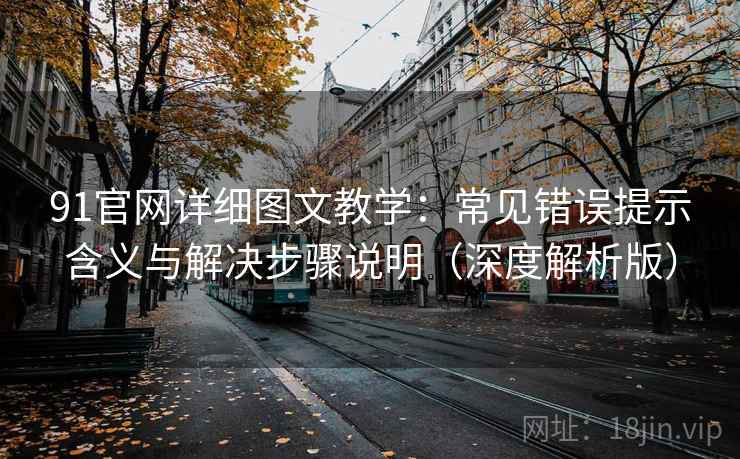 91官网详细图文教学：常见错误提示含义与解决步骤说明（深度解析版）